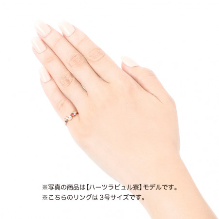 ツイステッドワンダーランド メッセージリング イグニハイド