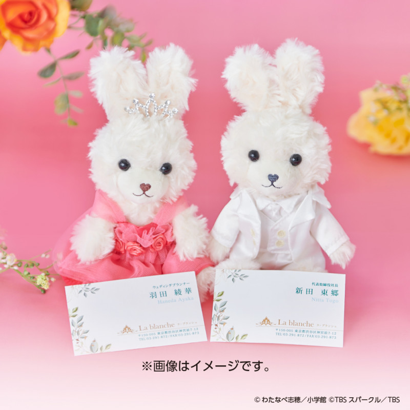 火曜ドラマ『王様に捧ぐ薬指』羽田綾華 コスチュームラビット 【劇中登場】