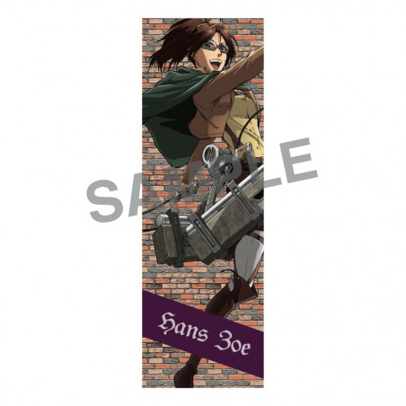 進撃の巨人　ハンジ・ゾエ　グッズ　まとめ売り　セット 進撃の巨人 ハンジ・ゾエ クラシカルリング