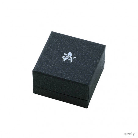 魔法使いの約束 レノックス シルバーリング