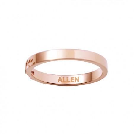 Paradox Live BAE 朱雀野 アレン シルバーリング