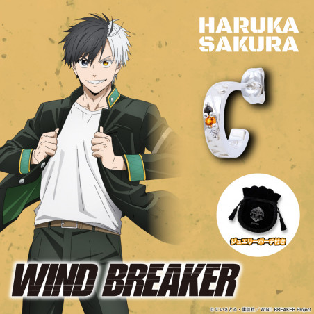 WIND BREAKER　桜 遥　シルバーピアス